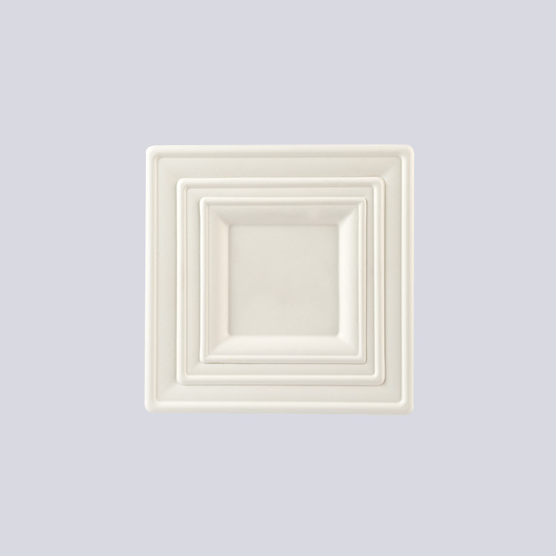 Piatto in fibra modellata e vassoio per tazze